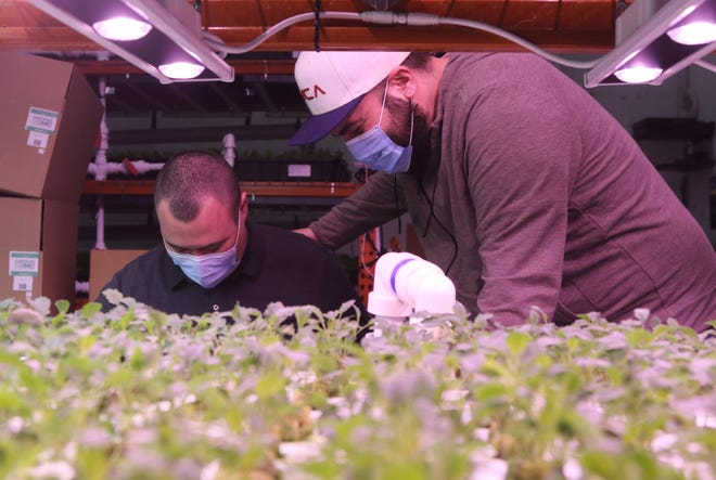 Jonathan Gonzalez an adult with autism, works with the REED Next Adult Program with his job coach James Spero.