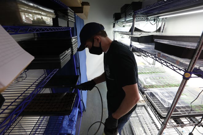 Finn Ban, a student with autism is part of the Workforce Development Program as he waters the trays where he planted seeds at Greens Do Good, a hydroponic, vertical farm in Hackensack, part of teaching the community about the benefits of locally grown food and it’s doing so while providing work and therapy to adults and children with autism.